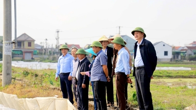 Fokus pada percepatan kemajuan dan memastikan keamanan untuk produksi tanaman Musim Semi 2026.