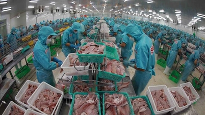 Ministerul Industriei și Comerțului continuă să sprijine întreprinderile în rezolvarea problemelor legate de exporturi.