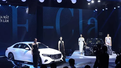 メルセデス・ベンツの売上は2025年に急落すると予想されている。