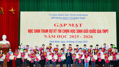 Ninh Binh, Ulusal Lise Başarılı Öğrenci Seçme Sınavı'nda ülke genelinde ikinci sırada yer aldı.