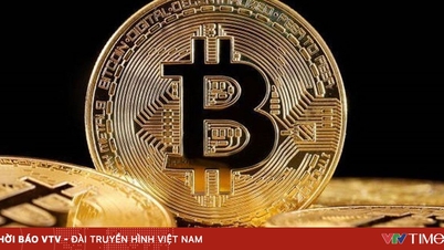 Bitcoin lao dốc, thị trường tiền số đỏ lửa