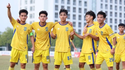 تم تحديد مباريات ربع النهائي الوطني تحت 19 عامًا رسميًا: يواجه كل من LPBank HAGL و Hanoi FC تحديات صعبة.