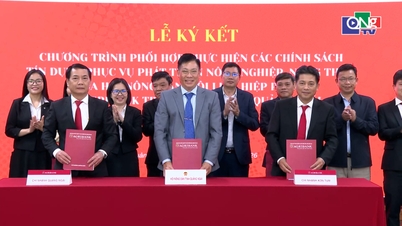 Hợp tác đẩy mạnh tín dụng phục vụ nông nghiệp, nông thôn