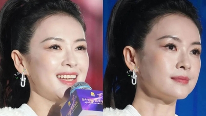 Zhang Ziyi choque avec son visage bouffi et d'apparence inhabituelle à 47 ans.