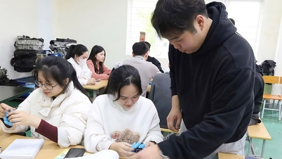 Bac Ninh beschleunigt die Ausbildung digitaler Fachkräfte für Wissenschaft und Technologie.