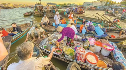 Points forts du voyage à la découverte du Sud du Vietnam