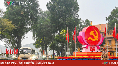 The people of President Ho Chi Minh's hometown place their full trust in the Party Congress.
