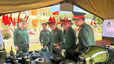 Gia Lai provinsielle militærkommando inspiserte beredskapen til kamptjeneste for å beskytte partiets 14. nasjonalkongress.