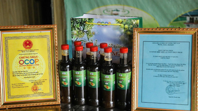 La melaza de Vu Quang conserva su sabor auténtico.