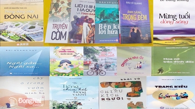 Tahun yang penuh semangat bagi dunia sastra di Dong Nai.