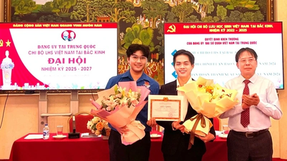 Đóng góp sức trẻ thực hiện nghị quyết Đại hội XIV