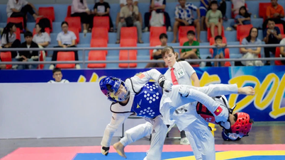 Taekwondo Kids Vietnam honors young talent after 10 years of persistently 'sowing the seeds of martial arts'.
