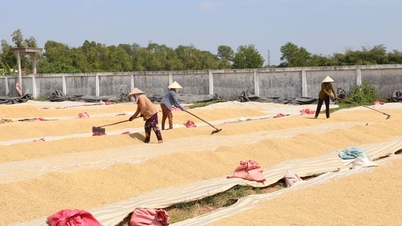 Ngu Lac concentra-se na mudança do desenvolvimento industrial.