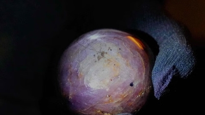 Der größte violette Sternsaphir der Welt wiegt über 3.500 Karat.