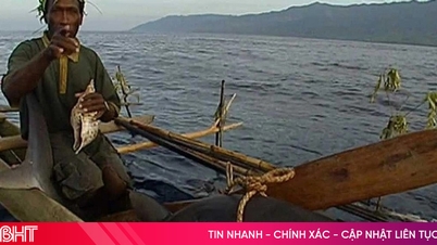 Nơi đàn ông phải bắt cá mập bằng tay không