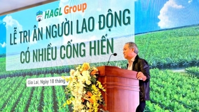 บริษัท Hoang Anh Gia Lai เริ่มก่อสร้างโครงการอาคารสูงในเมืองเปลกูซึ่งตั้งอยู่ในเขตภูเขา