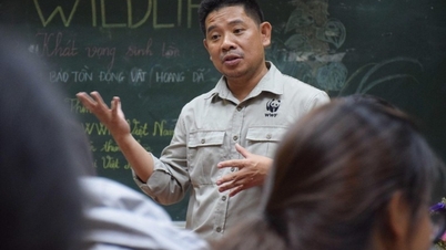 La valeur de la nature dans la position de développement du Vietnam.
