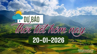 2026년 1월 20일 오늘 날씨 예보: 하노이에는 가랑비가 내리고, 호치민시는 맑은 날씨를 보이겠습니다.