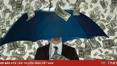 전 세계 억만장자들의 재산이 사상 최고치를 기록했습니다.