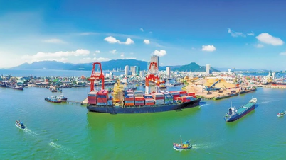 Menghapus beberapa persyaratan bagi bisnis yang bergerak di bidang transportasi maritim internasional.