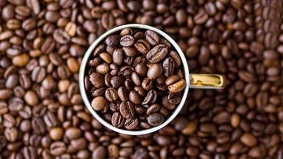 Harga kopi hari ini, 20 Januari 2026: Fluktuasi beragam secara global.