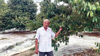 শস্য বৈচিত্র্যের ফলে ইতিবাচক ফলাফল পাওয়া যায়।