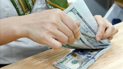 อัตราแลกเปลี่ยนวันนี้ 27 มกราคม: ราคาซื้อดอลลาร์สหรัฐลดลงต่ำกว่า 26,000 VND/USD