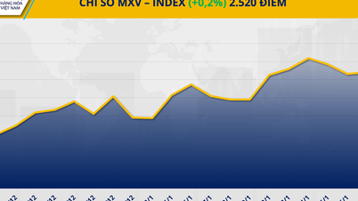 COMMODITY MARKET: Liquidity decreased on the US holiday, but the MXV-Index remained in positive territory.
