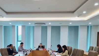 Họp Hội đồng xét tài trợ, đặt hàng nhiệm vụ Khoa học và Công nghệ cấp tỉnh năm 2025 (bổ sung)
