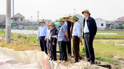 응우옌 반 데 성 인민위원회 부위원장은 농업 생산 현황과 2026년 말띠 해 봄 나무 심기 축제 준비 상황을 시찰했습니다.