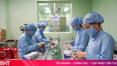 Las empresas de Ha Tinh crean impulso para un nuevo ciclo productivo y comercial.