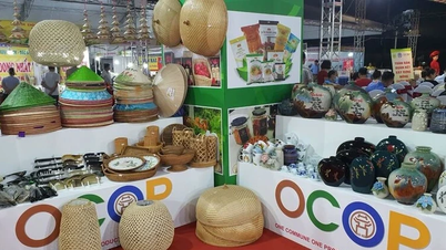 OCOP has sufficient "quantity" but needs to break through with "quality".