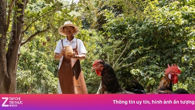 ¿Qué le dirá la industria turística de Vietnam al mundo en 2026?