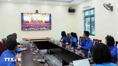 Many agencies and organizations watched the opening session of the 14th National Congress live on television.