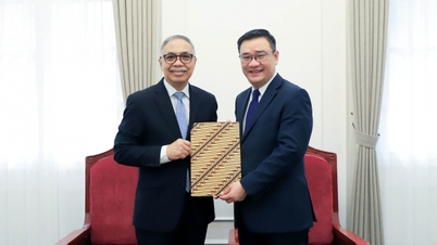 Átvettem a Fülöp-szigetek és Indonézia vietnami nagyköveteinek kinevezéséről szóló megbízólevelek másolatait.