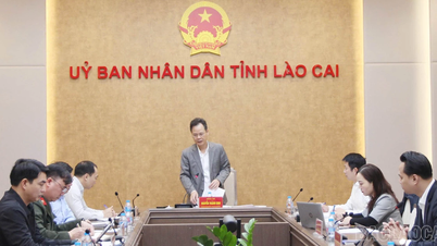ทบทวนการจัดการเทศกาลตรุษจีนและเทศกาลประชาชนชายแดนลาวไฉ (เวียดนาม) - หงเหอ (จีน) ในปี 2026