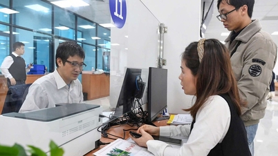 Hanoi akan memperkemas tenaga kerjanya dalam tiga fasa setiap tahun.