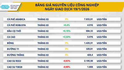 코코아 가격은 2.2% 이상 회복했지만, 철광석 가격은 중국의 압력으로 인해 급락했습니다.