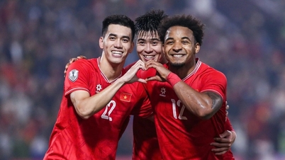 Det vietnamesiske landslaget fikk uventet dårlige nyheter fra FIFA.