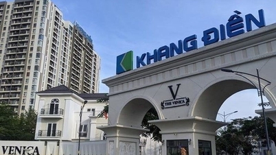 صندوق VOF Investment Limited يسجل لشراء 10 ملايين سهم من أسهم KDH.
