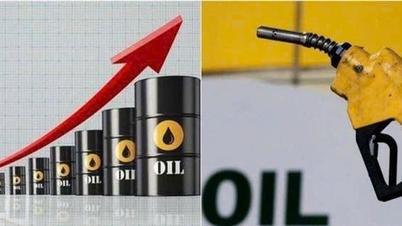 Preços dos combustíveis hoje, 20 de janeiro: Os preços mundiais do petróleo subiram ligeiramente, com o preço da gasolina no mercado interno próximo de 19.000 VND.