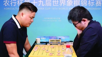 La communauté des échecs vietnamienne reçoit d'excellentes nouvelles concernant Lai Ly Huynh.