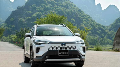 Toyota Vietnam senkt die Preise seiner Hybridfahrzeugpalette um Hunderte Millionen VND.