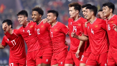 La selección nacional de Vietnam desciende en el ranking FIFA.
