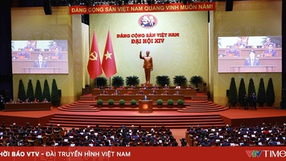 제14차 전국인민대표대회에는 정당, 단체, 해외 우방국, 해외 거주 베트남인 등으로부터 550건이 넘는 축하 메시지가 전달되었습니다.