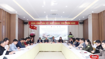 Promovarea dezvoltării agricole, silvice și a turismului ecologic durabil în comuna Ngoc Chien.