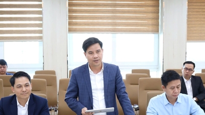 Da Nang, işletmelerin etkili kredi programlarına erişimini desteklemektedir.