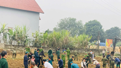 De gemeente Lam Giang lanceert de beweging "Bloemen planten om Tet te verwelkomen en de gemeenschapsbanden te versterken".