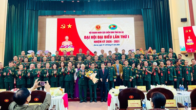 De heer Ngo Cong Doan is verkozen tot voorzitter van de Vereniging van Ervaren Ondernemers van de provincie Gia Lai.