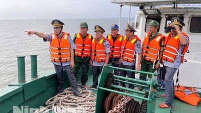 Ninh Binh: Mobilizing maximum time and resources to combat IUU fishing.